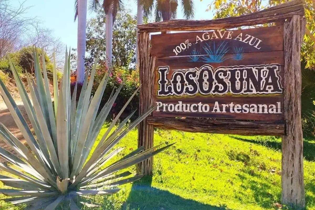Visitar Vinata Los Osuna